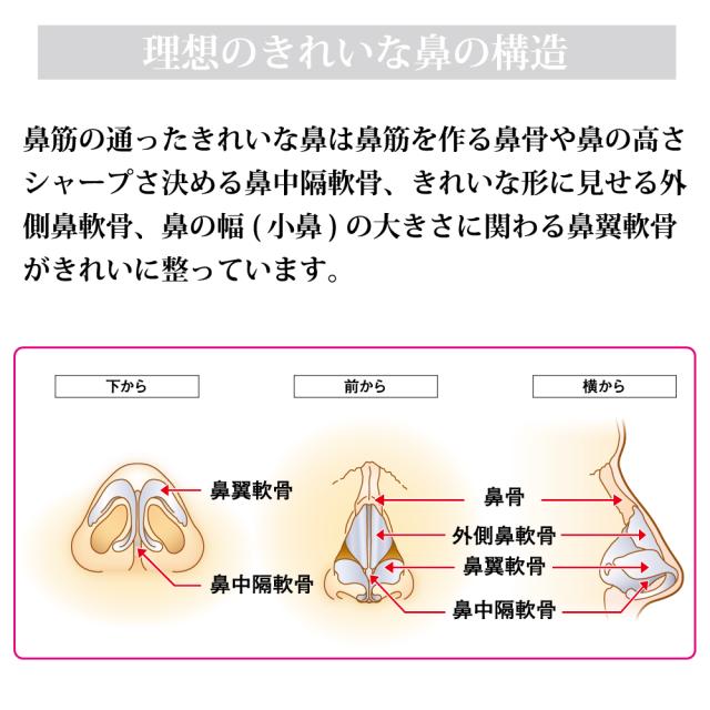 三太郎の日 会員限定クーポン 鼻プチ 美顔器 リフトアップ 低い鼻 だんご鼻 ワシ鼻 にんにく鼻 鼻筋 美鼻 矯正 プチ整形 小鼻 ビューの通販はau Pay マーケット M Trade