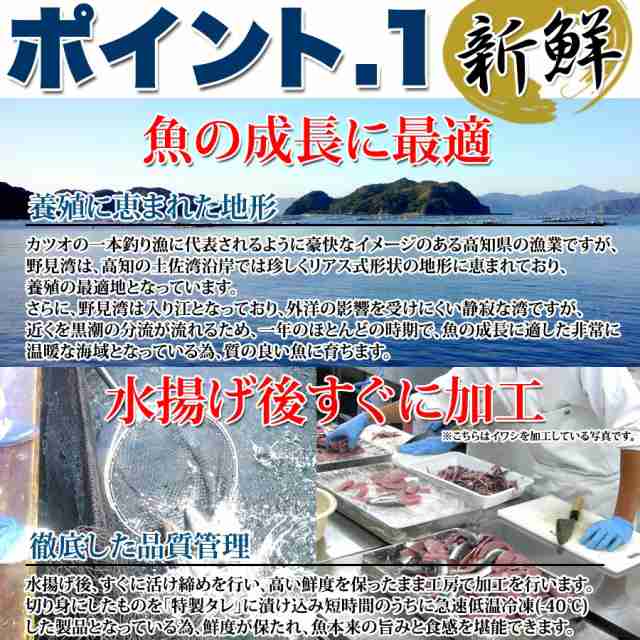 ぶっかけ漬け丼 漁師町の絶品丼ぶり2種 高知県産 6食セット 各3食 鯛漬け 丼ぶり3杯分 鰤漬け 丼ぶり3杯分の通販はau Pay マーケット 温洗通販