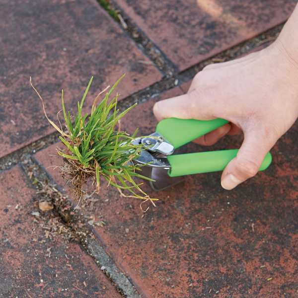 草抜き名人 ニッパー式 草取り機 ガーデニング 雑草 除草 草抜き 草むしり シャベル 雑草 対策 草とり 墓参り 庭の通販はau Pay マーケット 温洗通販