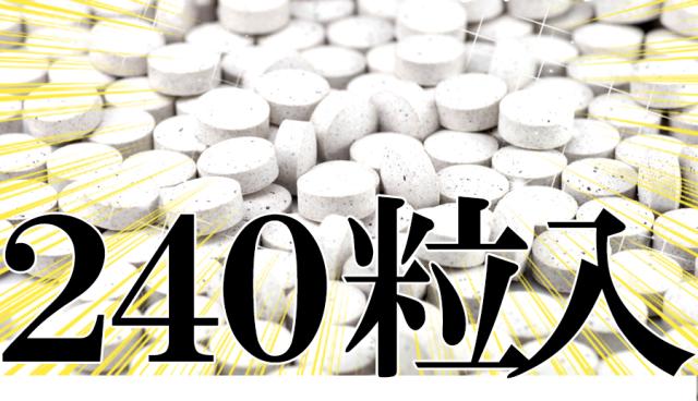 保障できる】 黒しょうが 5つの黒 黒にんにく 黒胡椒 黒玉葱 黒酢 黒豆 サプリメント 約4ヶ月分 お試し 4個まで送料495円  お届け目安：1〜2週間