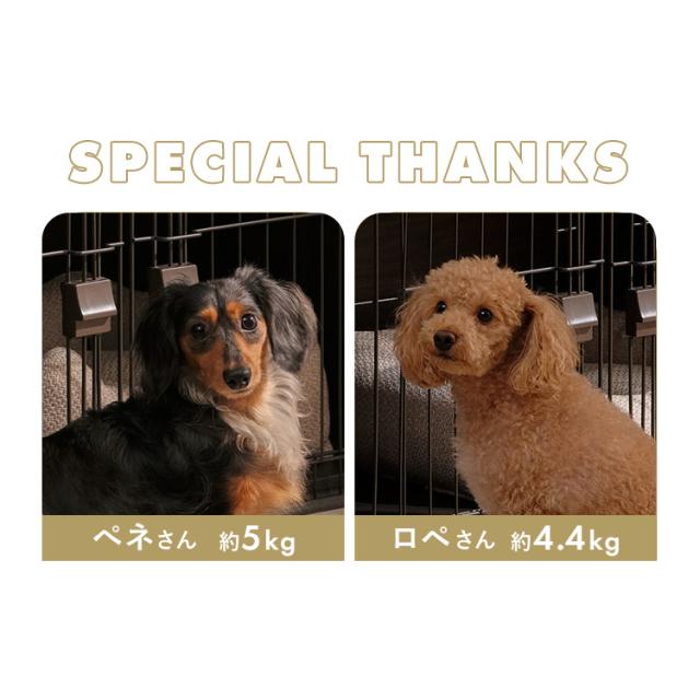 ウッディシステムサークル SWS-900 ナチュラル アッシュグレー 全2色 サークル 小型犬 中型犬 犬 いぬ イヌ 室内 屋内 木目調 ウッディサークル システムサークル 屋根無し アイリスオーヤマ 送料無料 サークル・ケージ・ゲート・犬小屋