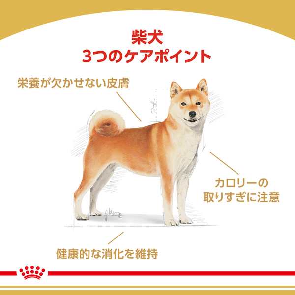 ロイヤルカナン成犬ドライフード 8kg×2袋 - construramaragon.com