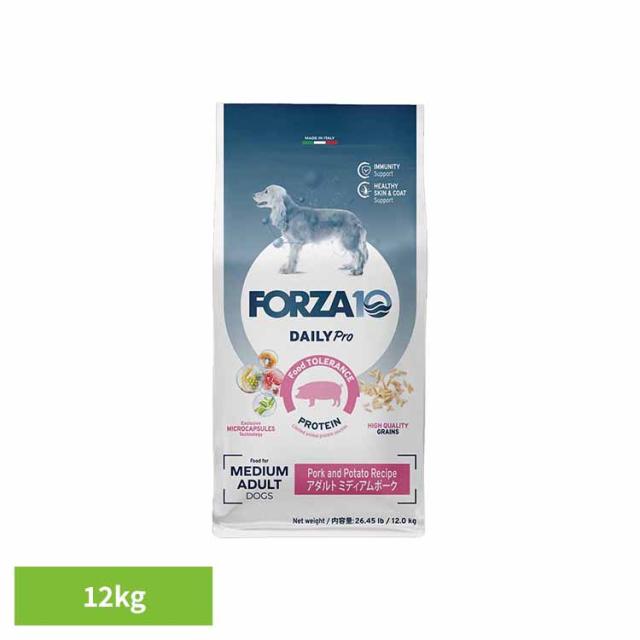 アンティーク 龍鳳戏珠 手鏡