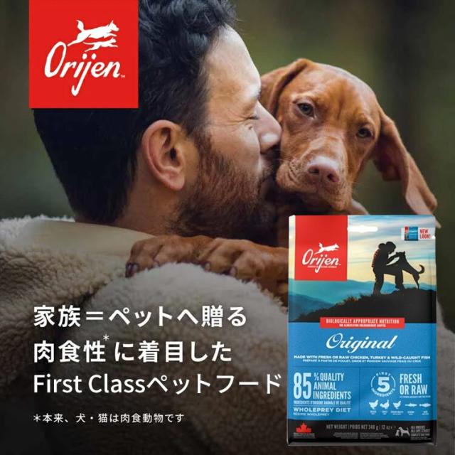 犬用 ドッグフード Orijen オリジン パピーラージ 11.4kg 穀類不使用 子犬 仔犬 大型犬 プレミアムフードオリジン トランペッツ Trumpets 【B】_1