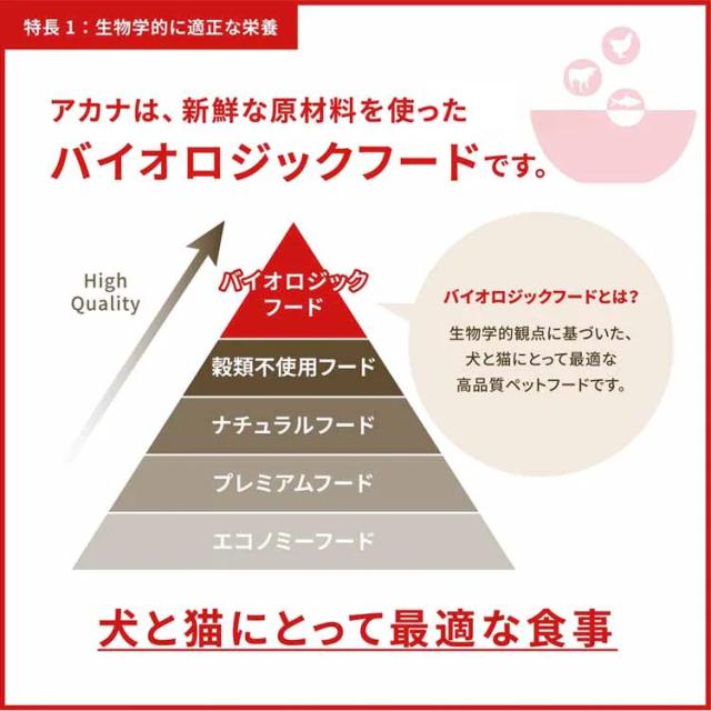 犬用 ドッグフード Orijen オリジン パピーラージ 11.4kg 穀類不使用 子犬 仔犬 大型犬 プレミアムフードオリジン トランペッツ Trumpets 【B】_7