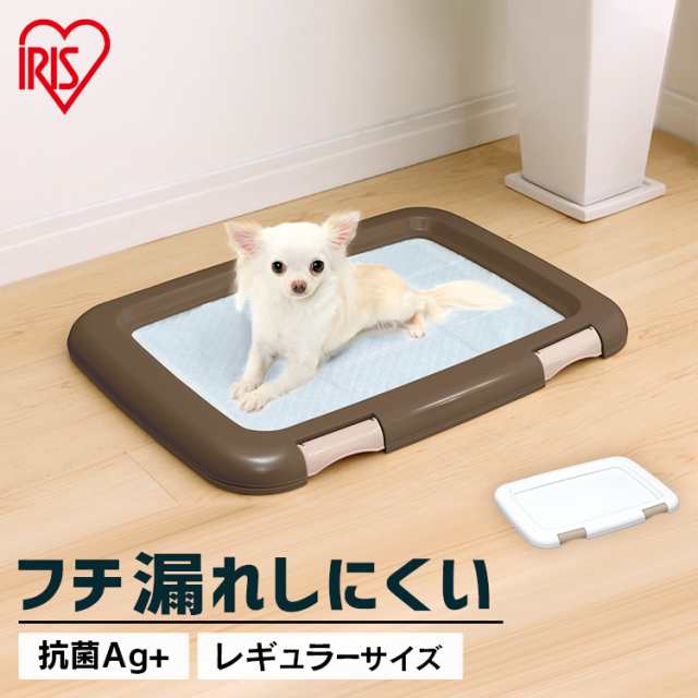 犬　トイレトレー　レギュラーサイズ