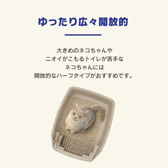 猫トイレ におい対策 消臭 猫 トイレ ペット用 猫用 アイリスオーヤマ システムネコトイレ用 猫用トイレ用品 ペットトイレ ネコトイレ 脱臭剤 2枚 DC-8