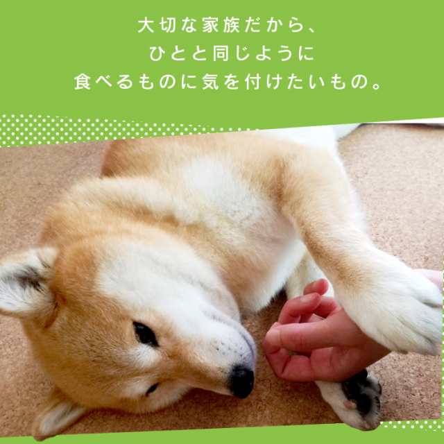 犬 おやつ 無添加 国産 いぬ用ナピューレ 野菜ミックス24本 P Inv24 ノングルテン 犬 いぬ イヌ Dog イヌ用おやつ おやつ 間食 ドッグフの通販はau Pay マーケット Pet館 ペット館