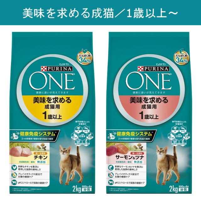 ピュリナワンキャット 下部尿路の健康維持FLUTH チキン 2Kg×6袋 【公式
