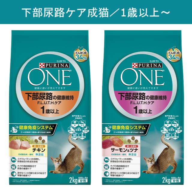 ピュリナワン 猫 グレインフリー キャット ドライフード