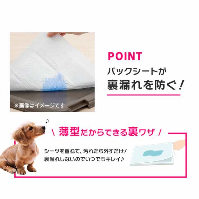 ペット シーツ 犬 トイレ シート ペットシーツ 薄型 レギュラー ワイド 800枚 400枚 猫 大容量 トイレシーツ 業務用 アイリスオーヤマ  ペの通販はau PAY マーケット Pet館〜ペット館〜 au PAY マーケット－通販サイト