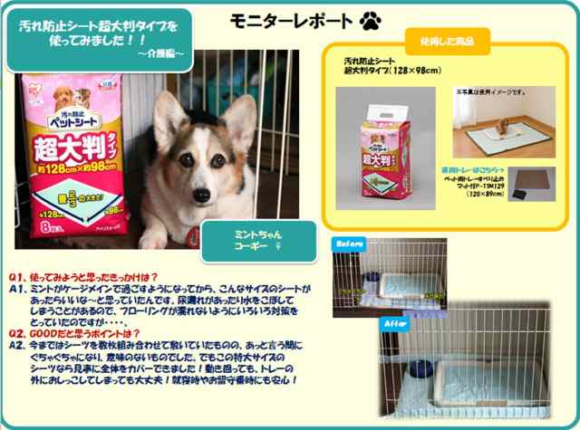 アイリスオーヤマ ペットシーツ 薄型 多頭飼い 小型犬 8シート x 8 【着後レビューで