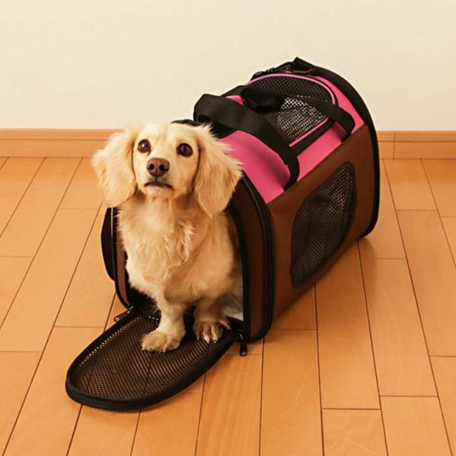 ペットキャリー Sサイズ 超小型犬 犬 猫 防災 防災グッズ 避難