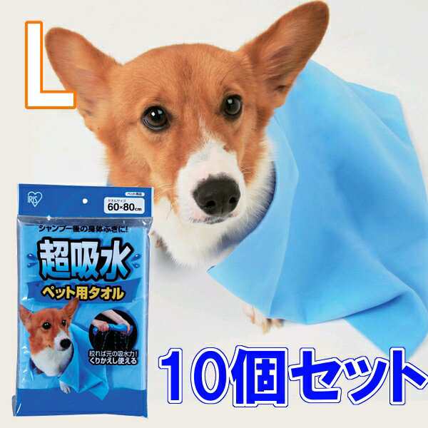 超吸水ペット用タオル Lサイズ 10個セット 犬 猫 ペット 吸収 吸い取る 吸う シャンプー タオルの通販はau Pay マーケット Pet館 ペット館