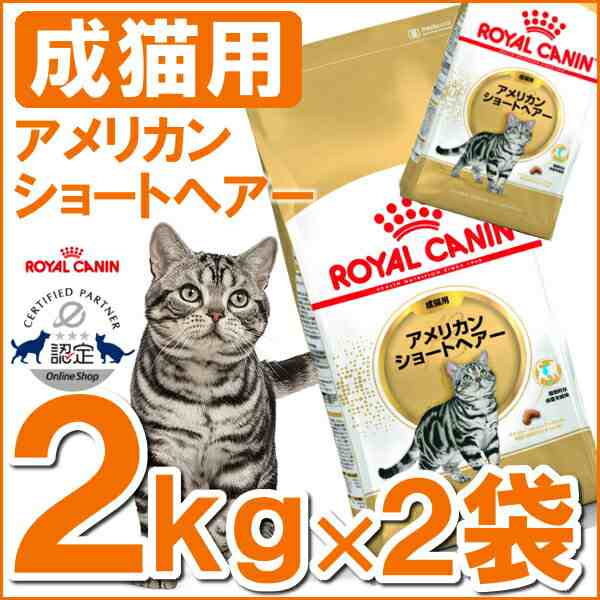 市場最安値に挑戦中》 ロイヤルカナン 猫 アメリカンショートヘアー 成猫用 2kg×2個セット ドライ FBN 猫種別 正規品 キャットフード  の通販はau PAY マーケット - Pet館～ペット館～