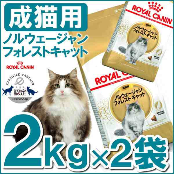 市場最安値に挑戦中》 ロイヤルカナン 猫 ノルウェージャンフォレストキャット 2g×2個セット 成猫用 ドライ FBN キャットフード ねこ  の通販はau PAY マーケット - Pet館～ペット館～