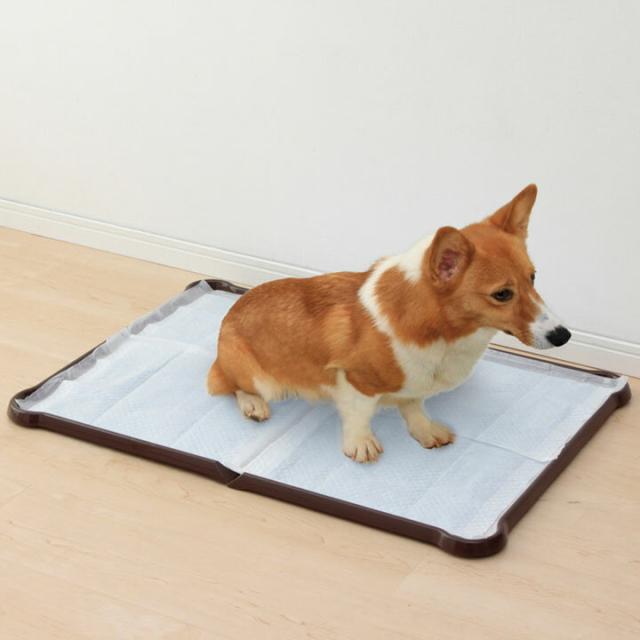 ペット引き出し式犬用トイレ ステンレス鋼の犬用訓練マット 小型犬と大型犬に適しています 二層設計でペットの足を乾いた状態に保ちます ペットトイレ  引き出し式犬用トイレ ステンレス鋼の犬用訓練マット 株式会社S＆L 小型犬と大型犬に適しています 二層設計でペットの ... ペットトイレ 引き出し式用トイレ ステンレス鋼の訓練マット 小型犬とに適しています 二層設計でペットの足を乾いた状態に保ちます 床を