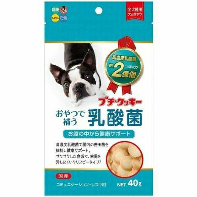 犬 おやつ プチクッキー 乳酸菌 40g 犬用 クッキー フード ペット ハイペット Tc Lp の通販はau Wowma Pet館 ペット館