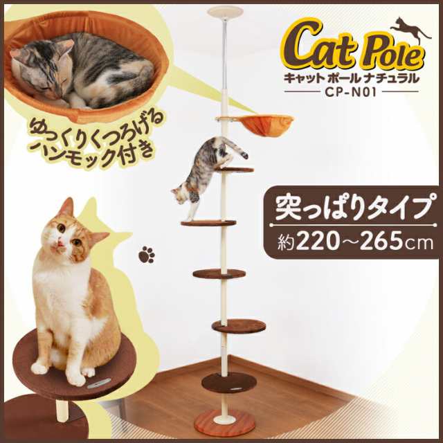 キャットタワー 突っ張り型 猫 タワー キャットポール ナチュラル ビーンズ キャット タワー 送料無料 ねこ ハンモックの通販はau Pay マーケット Pet館 ペット館