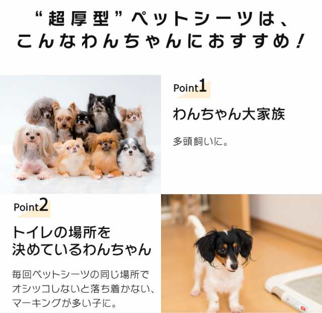 ペットシーツ レギュラー ワイド 超厚型 犬 猫 トイレシーツ レギュラー400枚 ワイド0枚 多頭飼い 業務用 大容量 シーツ 人気 安い 送の通販はau Pay マーケット Pet館 ペット館