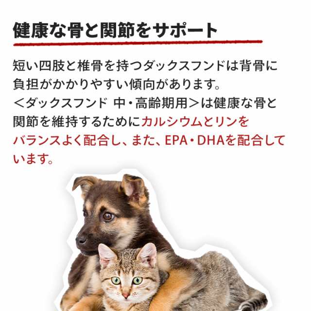 ロイヤルカナン ダックスフンド 中・高齢犬用 3kg - ペットフード