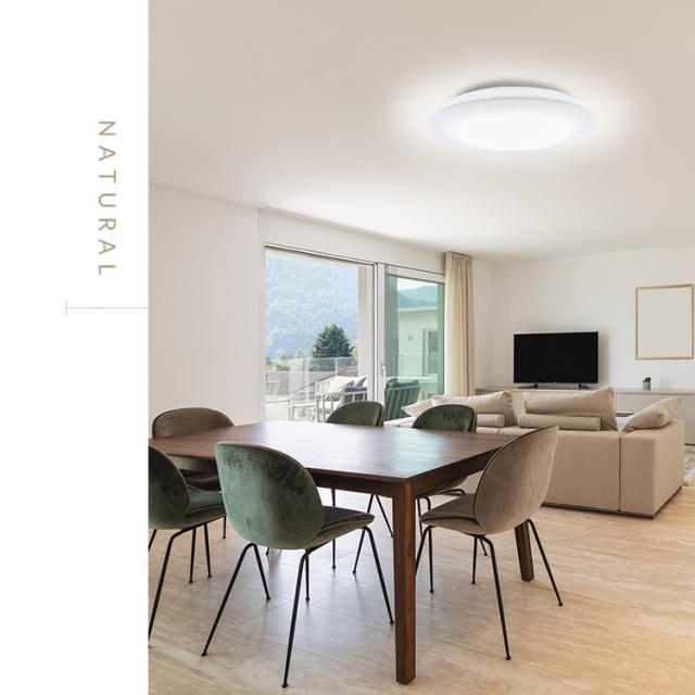 【2個セット】シーリングライト LED 6畳用 LEDシーリングライト 5.0Qシリーズ 6畳 調光 調色 プレーン CEA6DL-5.0Q  2個 調光 調色 丸型 タイマー 節電モード 省エネ リモコン付き 照明 天井 LEDライト ルームライト リビング ダイニング 新生活 アイリスオーヤマ 送料無料の通販は