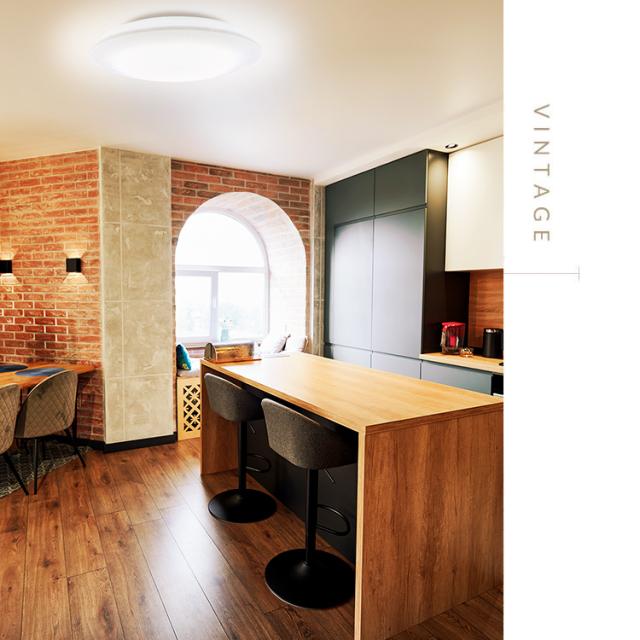 【2個セット】シーリングライト LED 6畳用 LEDシーリングライト 5.0Qシリーズ 6畳 調光 調色 プレーン CEA6DL-5.0Q  2個 調光 調色 丸型 タイマー 節電モード 省エネ リモコン付き 照明 天井 LEDライト ルームライト リビング ダイニング 新生活 アイリスオーヤマ 送料無料の通販は