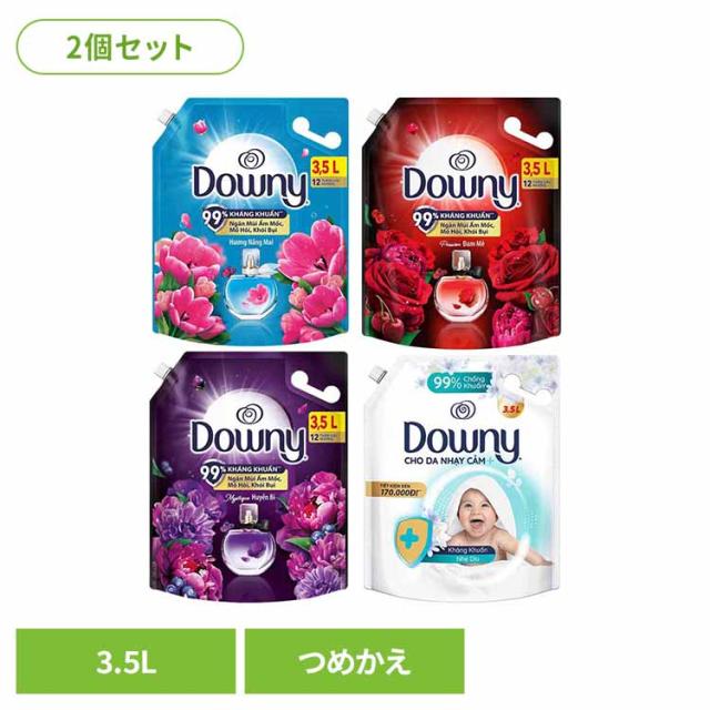 柔軟剤 洗濯用洗剤 【2個セット】アジアンダウニー 3.5L P&G D 全4種類 