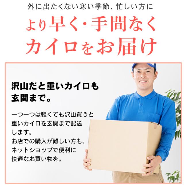 カイロ アイリス 【480枚】貼らないカイロ レギュラー 10枚入×48個セット アイリスオーヤマ カイロ アイリス 使い捨て 貼るタイプ 貼るカイロ 貼る 使い捨てカイロ 480枚 大容量 送料無料_1