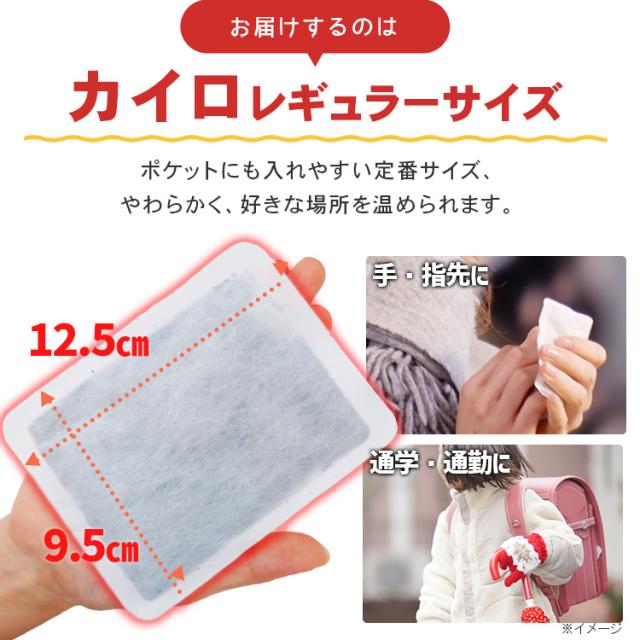 カイロ アイリス 【480枚】貼らないカイロ レギュラー 10枚入×48個セット アイリスオーヤマ カイロ アイリス 使い捨て 貼るタイプ 貼るカイロ 貼る 使い捨てカイロ 480枚 大容量 送料無料_3