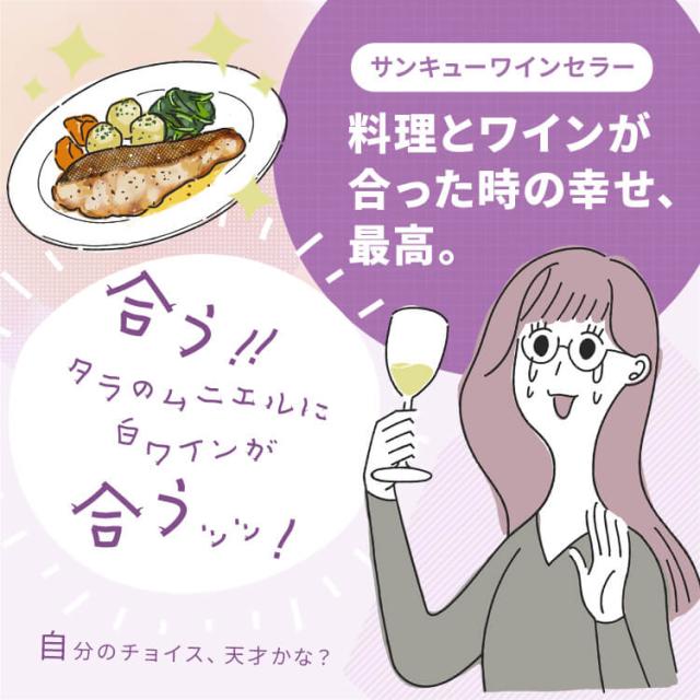 ワインセラー アイリスオーヤマ 小型 スリム 8本 ペルチェ冷却方式 家庭用 ワイン セラー ガラス窓 おしゃれ 温度設定 8〜18度 LED庫内灯付き タッチパネル 簡単操作 温度 ロック機能付き ワインクーラー PWC-251P-B *_3