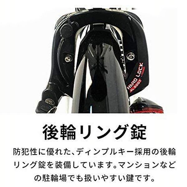 自転車 折りたたみ 電動 電動自転車 折り畳み自転車 電動アシスト自転車 20インチ 6段変速 折畳電動自転車20インチ6段8AH TDN-206XｰNYB [代引不可] 全4色 PELTECH 8AHバッテリー TDN-206 eバイク e-bike 送料無料_5
