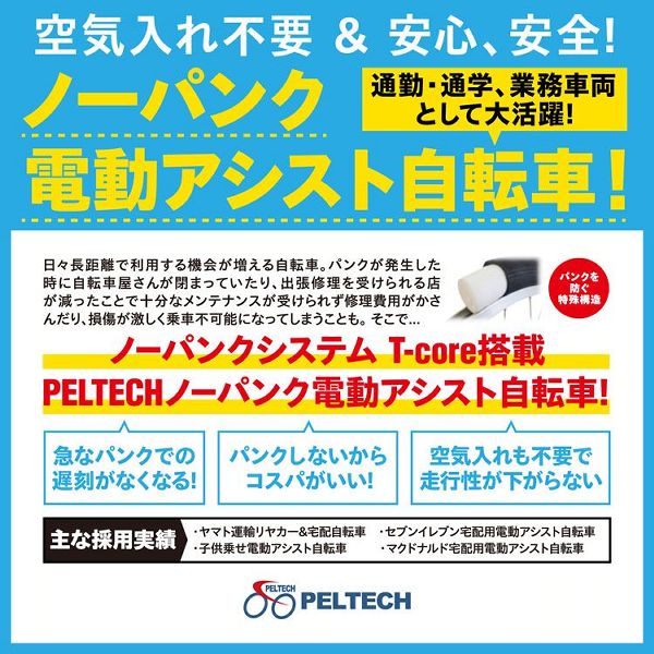 自転車 電動 電動自転車 ノーパンク 折りたたみ 電動アシスト自転車 6段変速 ノーパンク折畳電動自転車20インチ8AH TDN-206LNXｰNYB [代引不可] 全4色 PELTECH 20インチ 電動自転車 8AHバッテリー TDN-206 送料無料_1