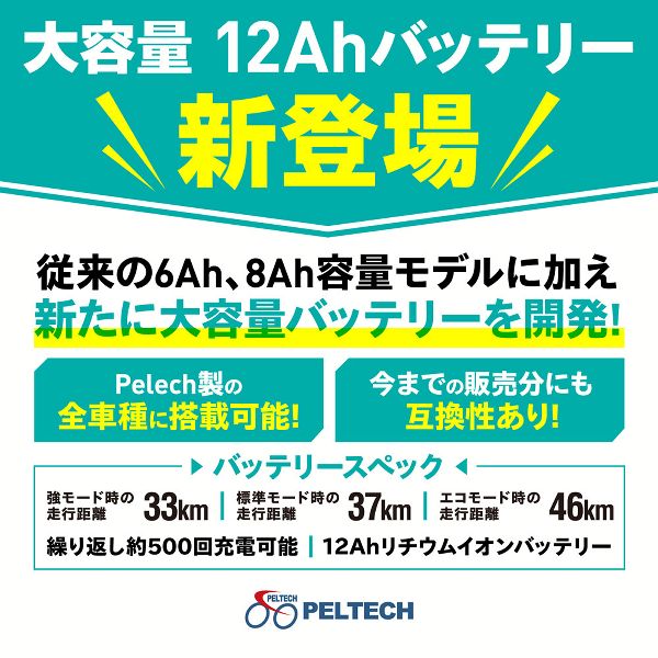 PELTECH折り畳み電動アシスト自転車 20インチ折り畳み外装6段変速 12.0Ah 【簡易組立必要品】 TDN-208L-LG-12AH [代引不可] 全3色 電動自転車 アシスト 自転車 E-BIKE 折り畳み自転車 ラクラク 坂道 電動 ペルテック 送料無料