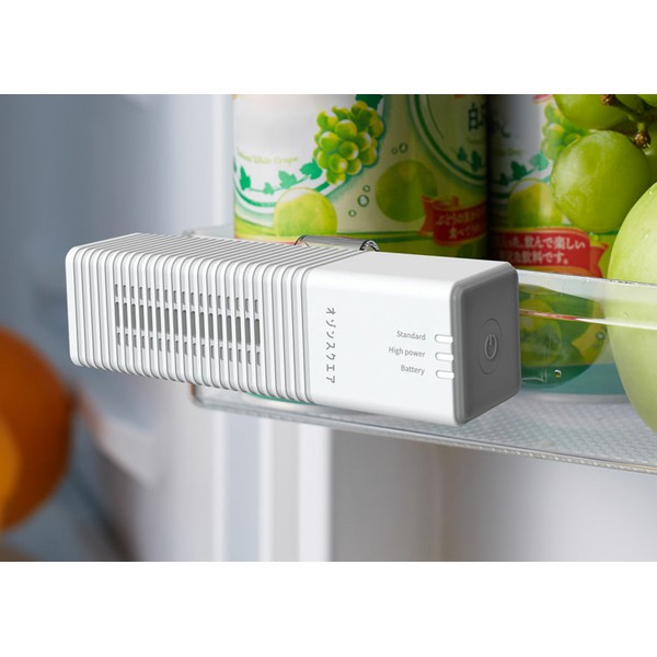 低濃度オゾン発生器 オゾンスクエア ホワイト 6155 オゾン発生機 低濃度オゾン 小型 除菌 消臭 鮮度保持 冷蔵庫 タンス 下駄箱 トイレ 送料無料