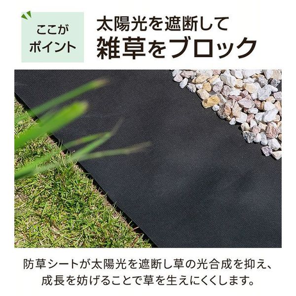 防草シート2枚組(Uピン杭40本＋黒丸40枚) ブラック 防草シート 砂利下