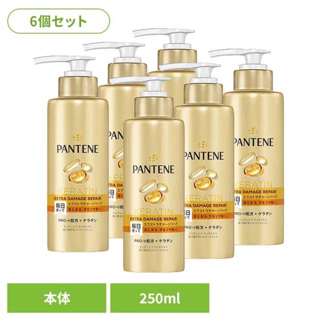 【6個セット】ヘアケア ボディケア ヘアケア パンテーン エクストラダメージリペア インテンシブヴィタミルク 特大サイズ パンテーン パンテーン P&G エクストラダメージリペア 洗い流さないトリートメント 送料無料