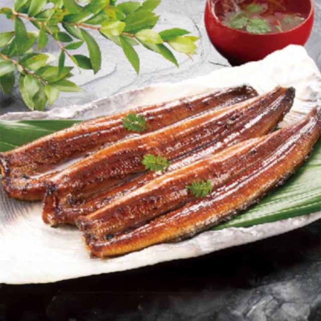 【冷凍】マルマうなぎ蒲焼き 3尾（計360g） 国分 [代引不可] プレゼント ギフト 惣菜 うなぎ 本醸造醤油 脂 蒲焼 丑の日 浜名湖 冷凍 送料無料