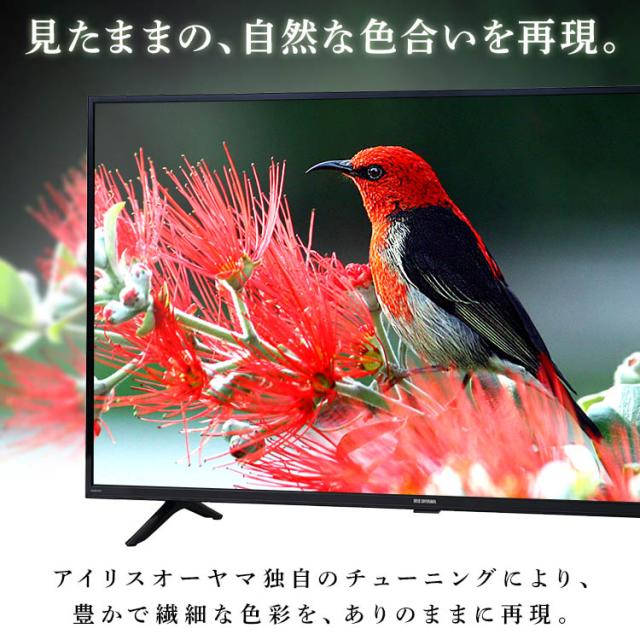 テレビ 32型 アイリスオーヤマ ハイビジョンテレビ 32WB10PB ブラック テレビ 32インチ 32V 32V型 テレビ 本体 新品 TV ハイビジョン 液晶テレビ 地デジ BS CS アイリスオーヤマ 送料無料_1