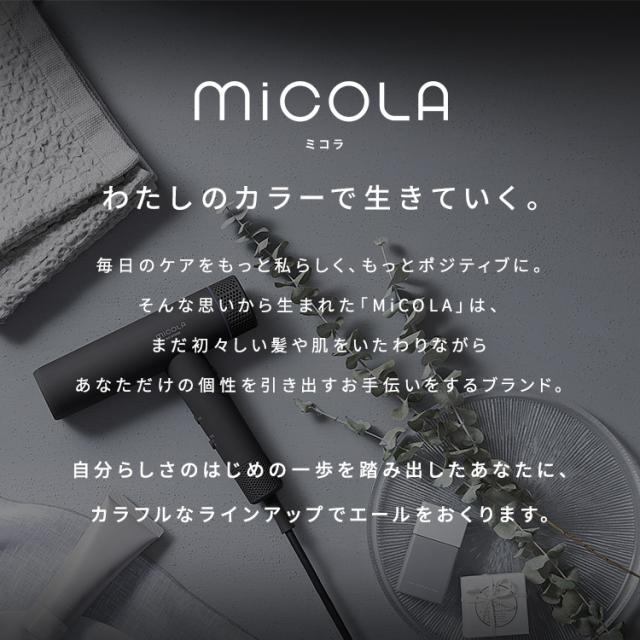 ドライヤー 大風量 速乾 マイナスイオン MiCOLA イオンドライヤー アイリスオーヤマ イオン ヘアドライヤー 折り畳み式 大風量 速乾 速乾高風速 折りたたみ コンパクト スリム 持ち運び 軽量 ターボ セット ホット スカルプ クール ミコラ 送料無料_14