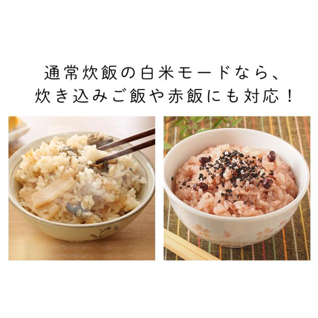 炊飯器 炊飯ジャー 1.5合 RC-MF15-W アイリスオーヤマ 一人暮らし 新生活 小型 便利 ジャー炊飯器 炊飯ジャー ホワイト ジャー炊飯器 炊飯ジャー コンパクト 軽量 炊飯 ヘルシー 送料無料 炊飯器