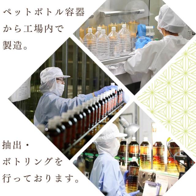 お茶 500ml 48本 ペットボトル 500ml 緑茶 お茶 激安 国産茶葉
