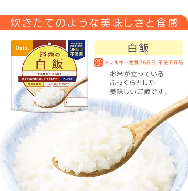 非常食 防災食 保存食 アルファ米 10食セット 白飯 スプーン付き