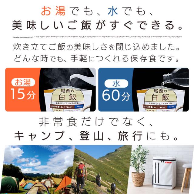 アルファ米 非常食 保存食 アルファ米 ドライカレー 1001SE 【保存期間5年】(50食セット) 非常食セット 防災セット 備蓄食 防災 尾西食品 防災グッズ 避難グッズ 防災用品 避難用品 備蓄用品 地震対策