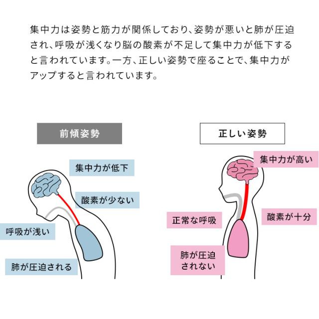 プロポーションチェア 学習椅子 姿勢矯正 バランスチェア プロポーションチェア CH-88W 宮武製作所 [代引不可] プロポーションチェア デスクチェア パソコンチェア オフィスチェア 椅子 オフィス家具 キャスター付き 姿勢矯正 背筋補正 猫背矯正 送料無料_8