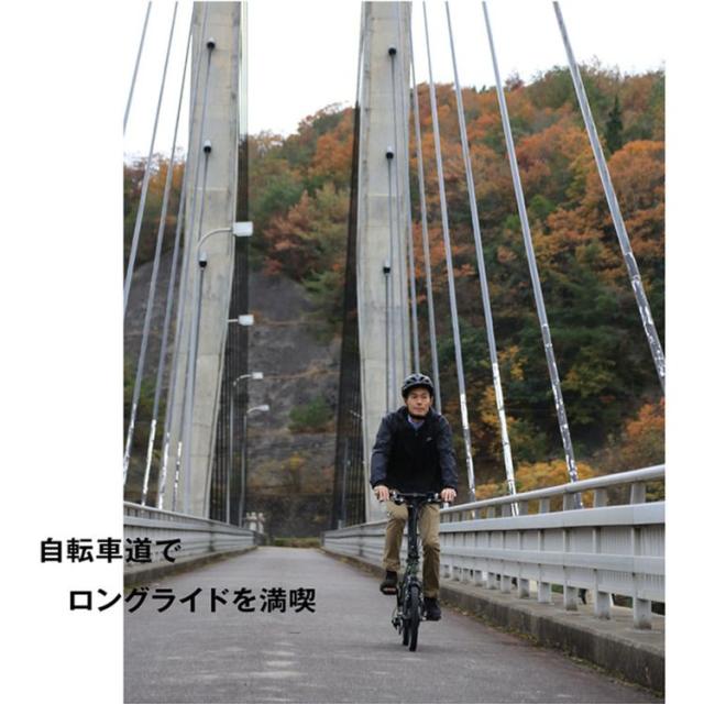 自転車 電動 旅行 クロモリ 乗りやすい ミニベロ 通勤 お洒落 軽い 便利 HARRY QUINN Liverpool163E 88526-09 トランスモバイリー [代引不可] 自転車 電動 旅行 クロモリ 乗りやすい ミニベロ 通勤 お洒落 軽い 便利 送料無料_8