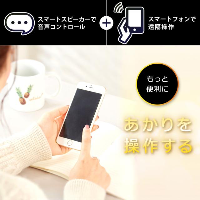 LED電球 電球 LED 60形 アイリスオーヤマ 節電 エコ 照明 電気 省エネ E26 広配光 60形相当 調光 Google Nest Mini AIスピーカー LDA9L-G D-86AITG+Google Nest Mini LEDライト ECO 節約 スマートスピーカー対応 GoogleNestMini アイリスオーヤマ_2