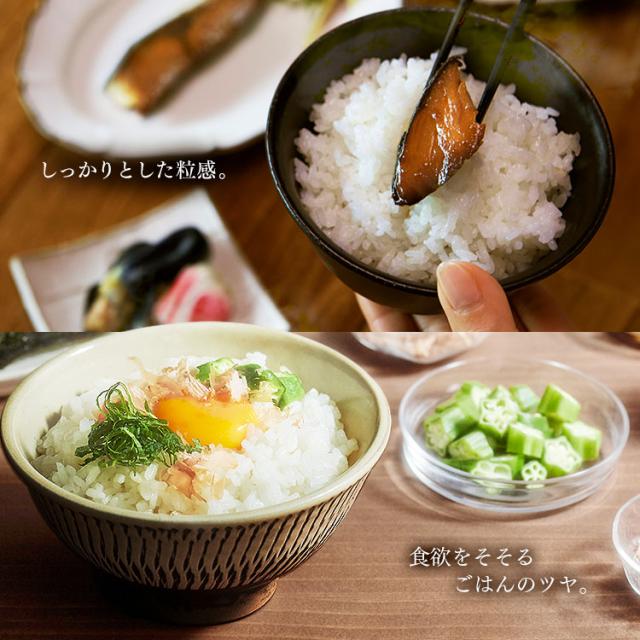炊飯器 10合 アイリスオーヤマ 圧力IHジャー炊飯器10合 RC-PD10-B ブラック 炊飯器 炊飯ジャー 炊飯 ジャー IH ih 圧力 10合 銘柄炊き 炊き分け 洗える 保温 タイマー_2
