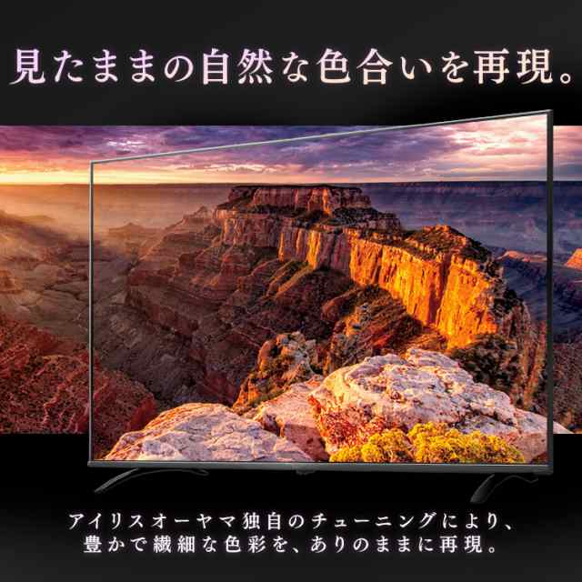 テレビ 65型 4K フレームレス 4K対応液晶テレビ 65インチ ブラック LT