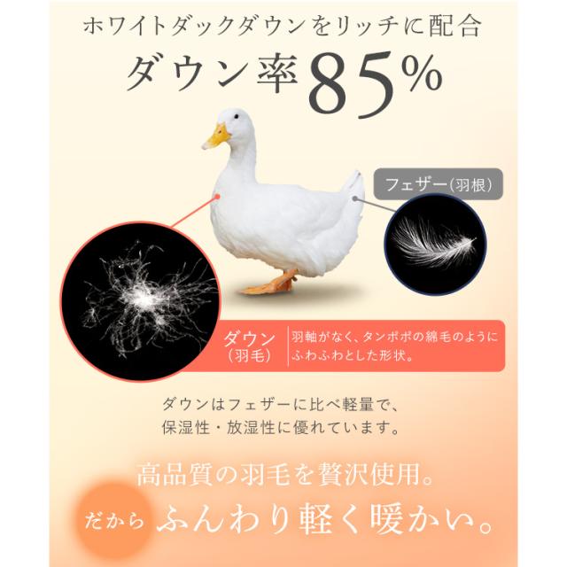 布団 シングル ダウン 肌掛け 日本製 アイリスプラザ ダウンケット 【代引不可】 軽い 軽量 吸湿 放湿 保湿 羽毛肌掛け布団 WDD85％ 200g シングル 全6色 ダウンケット 羽毛 ホワイトダックダウン ピーチスキン 抗菌 防臭 洗濯 オールシーズン 【TD】_11